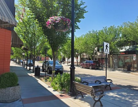 Sunny downtown street with trees and benches.