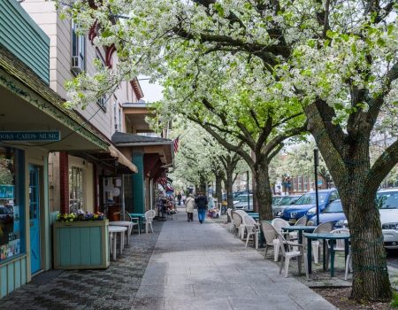 Charming small-town street with flowering trees and shops.